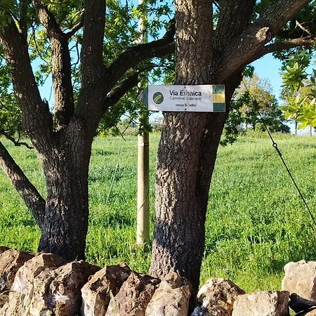Due Coni E Campagna Дом отдыха